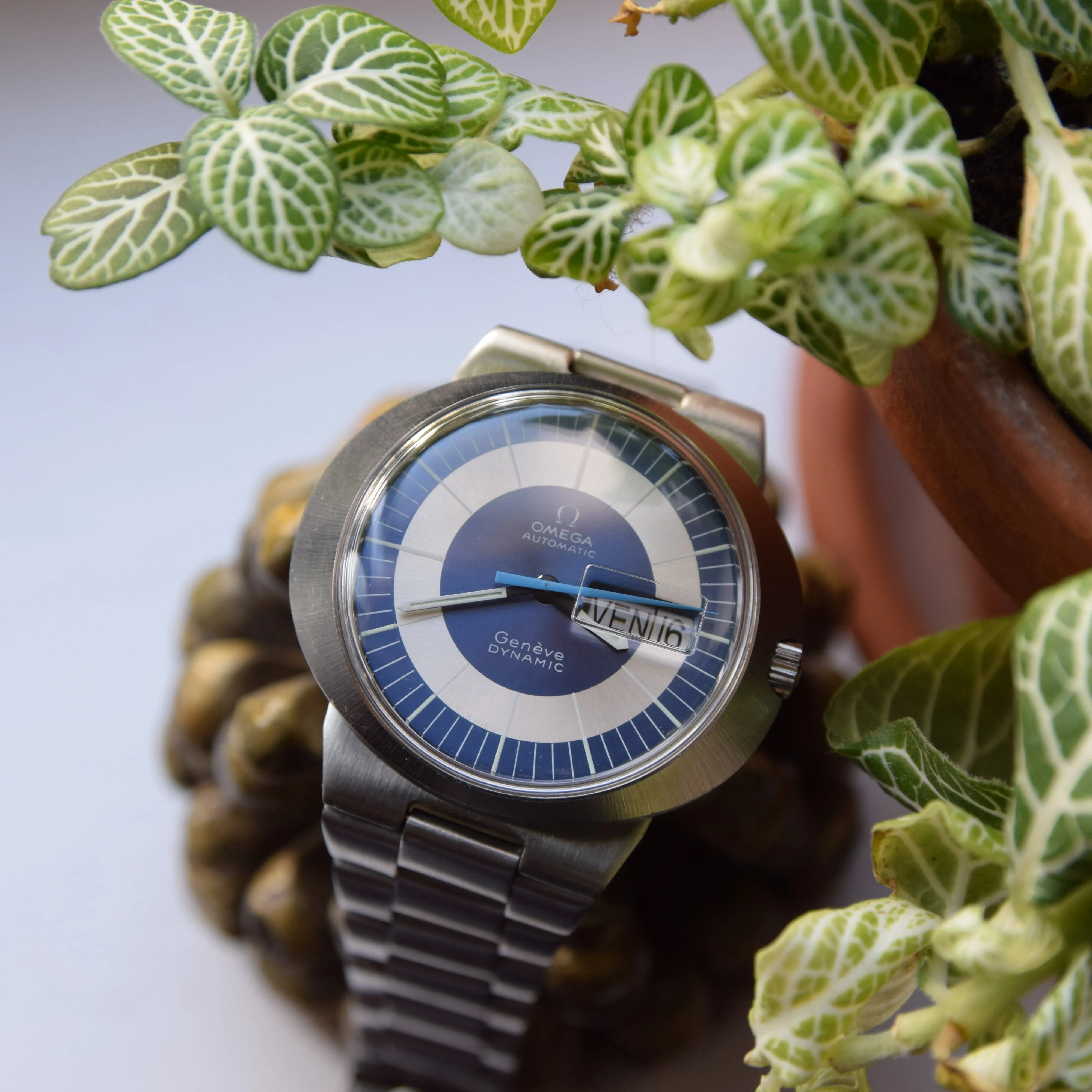 1969 Omega Geneve Dynamic Automatic French Day Date with Two Tone Silver and Blue Bullseye Dial Model 166.079 in Stainless Steel on Bracelet