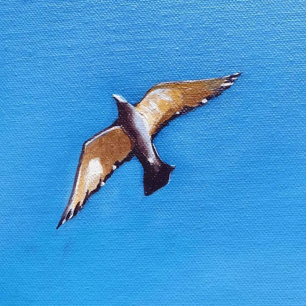 Absolute Freedom