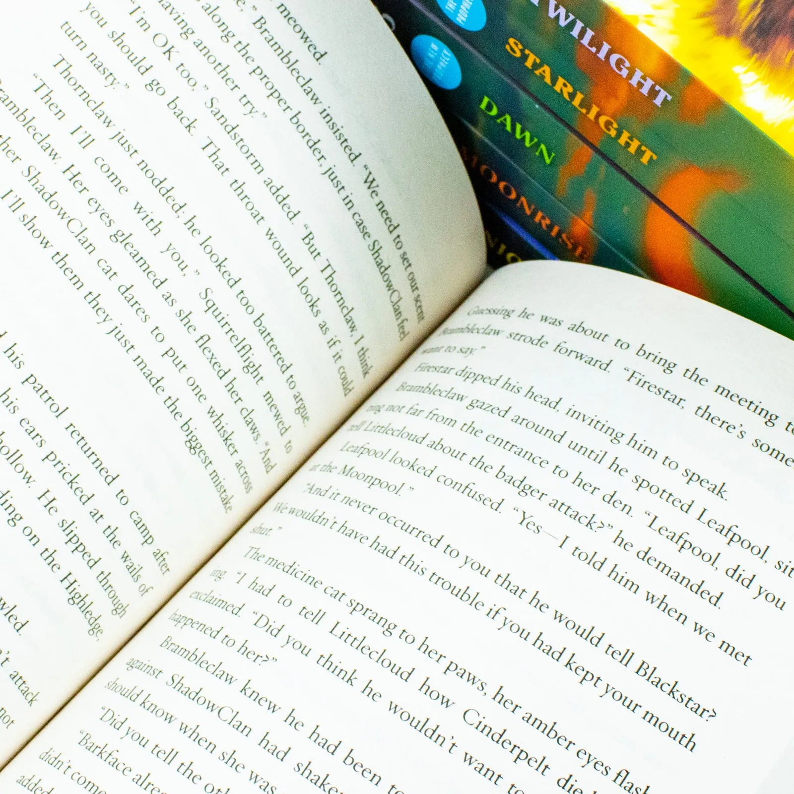 Warrior Cats Series 2: The New Prophecy Collection by Erin Hunter - 6 Exciting Books of Fantasy, Adventure, and Animal Stories for 12  years readers