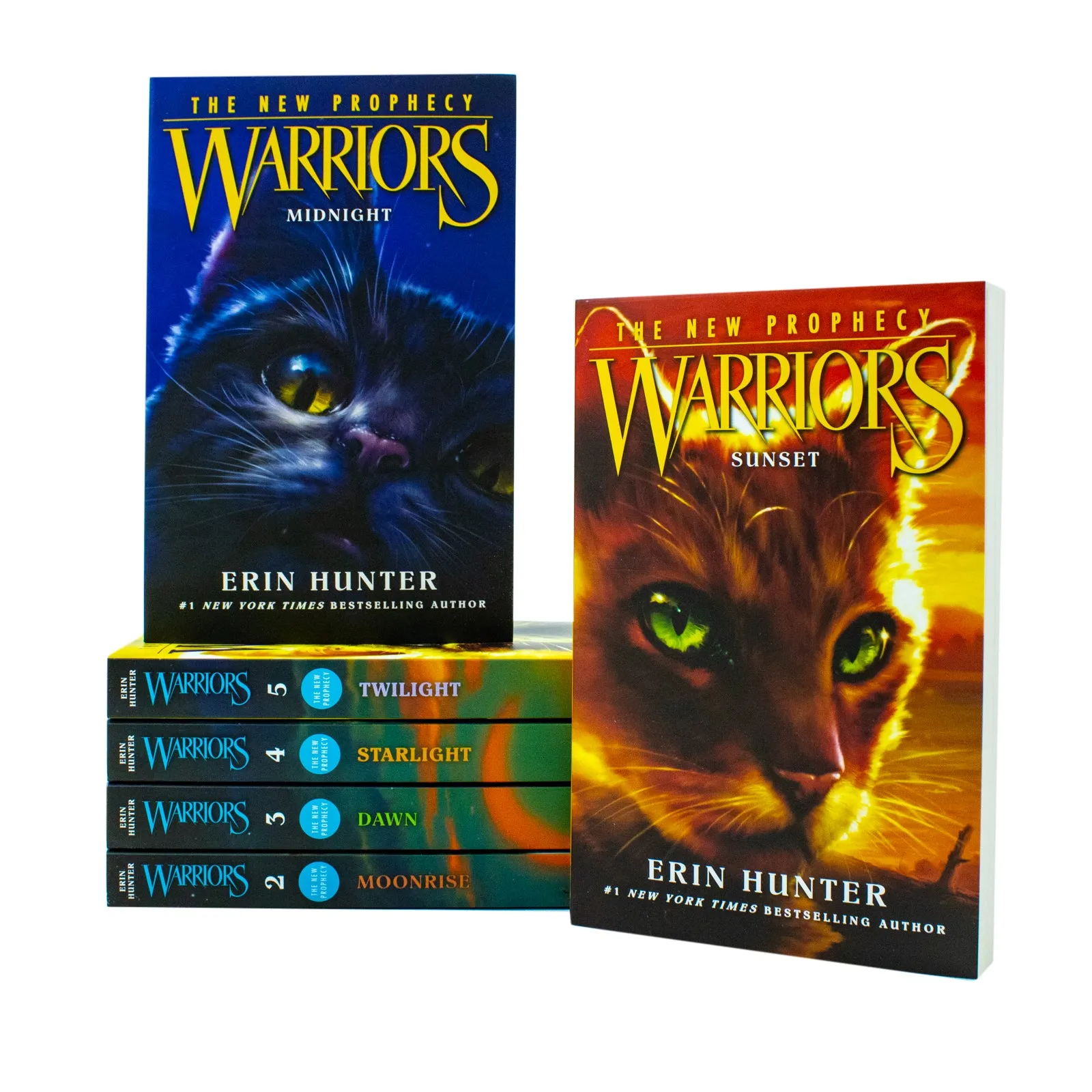 Warrior Cats Series 2: The New Prophecy Collection by Erin Hunter - 6 Exciting Books of Fantasy, Adventure, and Animal Stories for 12  years readers